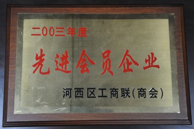 2003年度先進(jìn)會(huì)員企業(yè)獎(jiǎng)牌